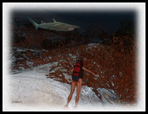 Swimming with the Sharks