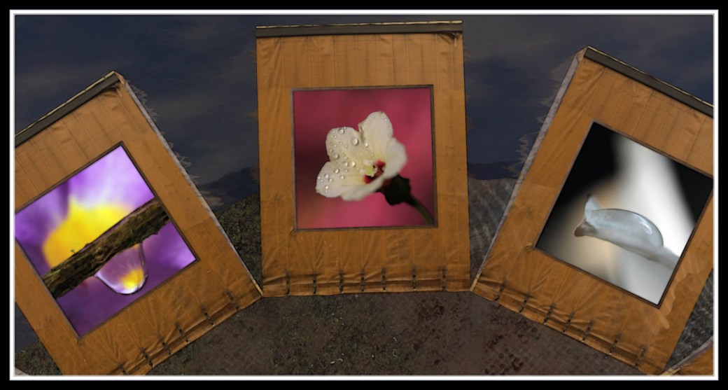 Photos by Lalie Sorbet