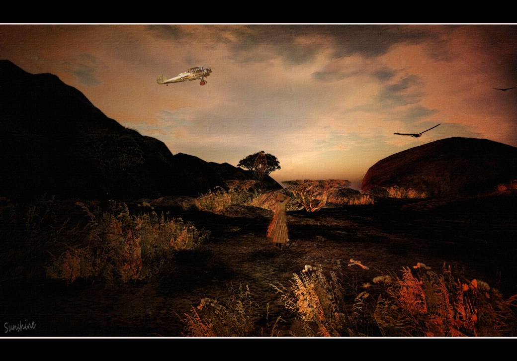 One Week of Movies Out of Africa