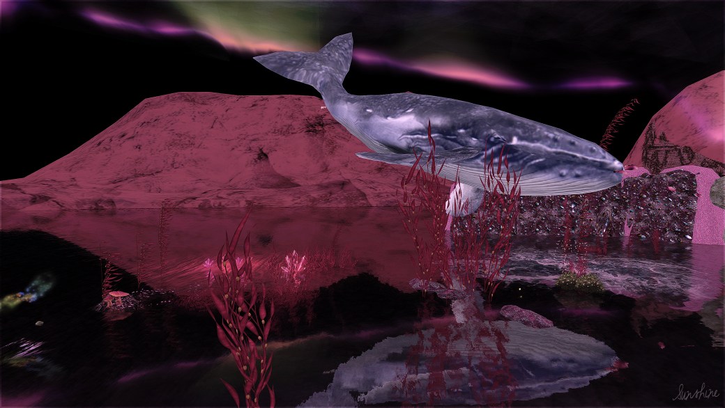 092813 pangloss whale