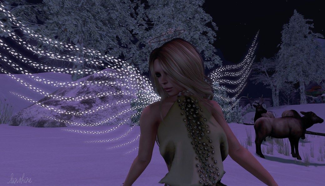 Sneak Peek December blog 2  AFI d