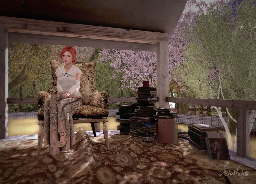 blog 022015 shinyshabby a