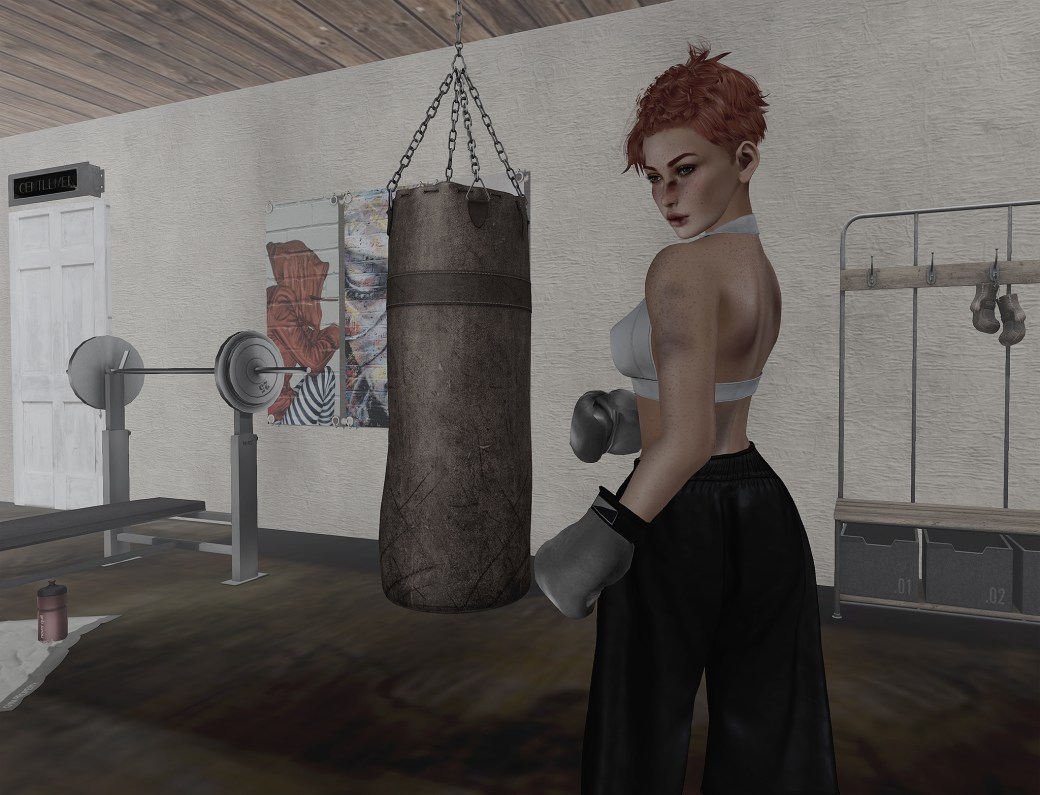 061616 blog ROQUAI Boxer a