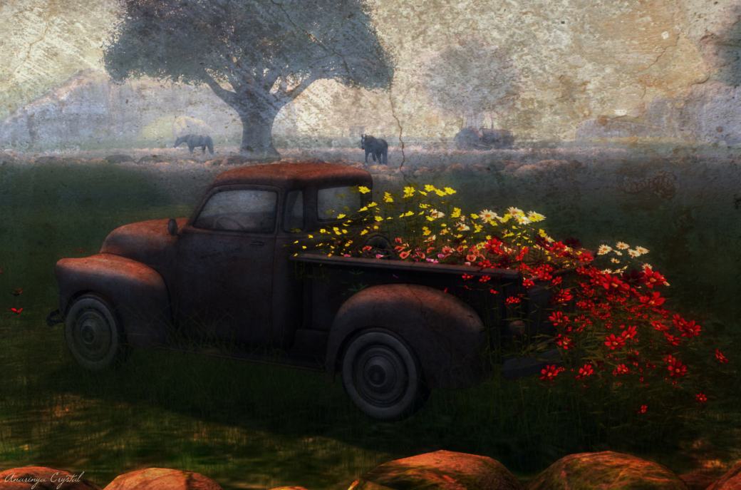 32348921376_c5424a9006_k