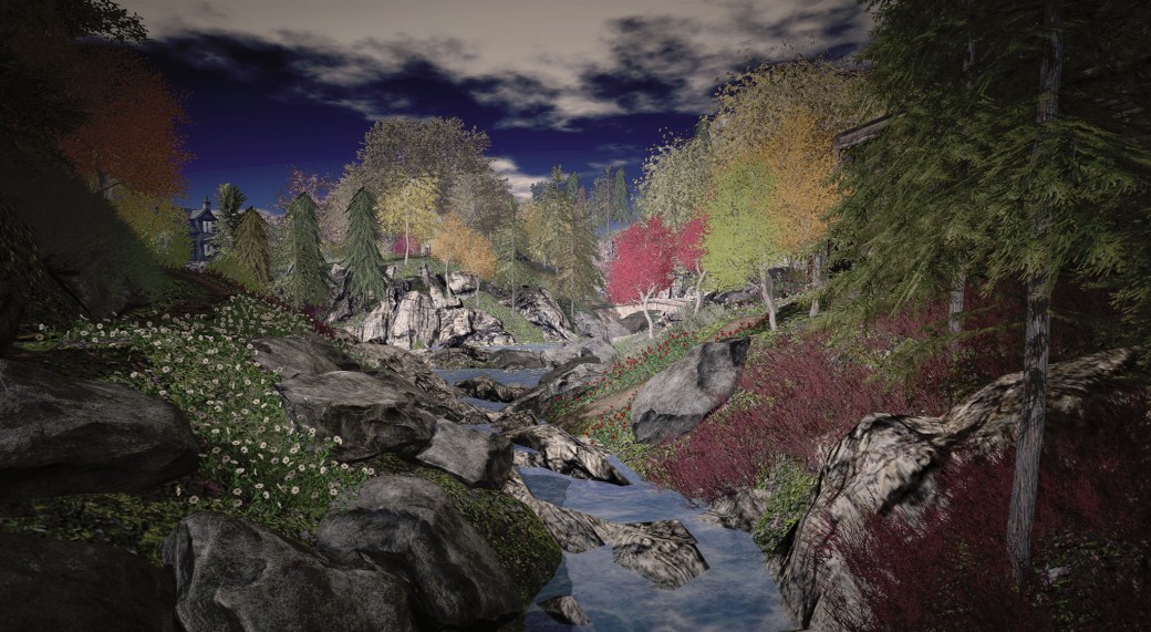 blog 012818 Little branch