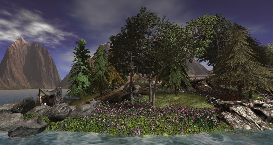 blog 012818 Little branch