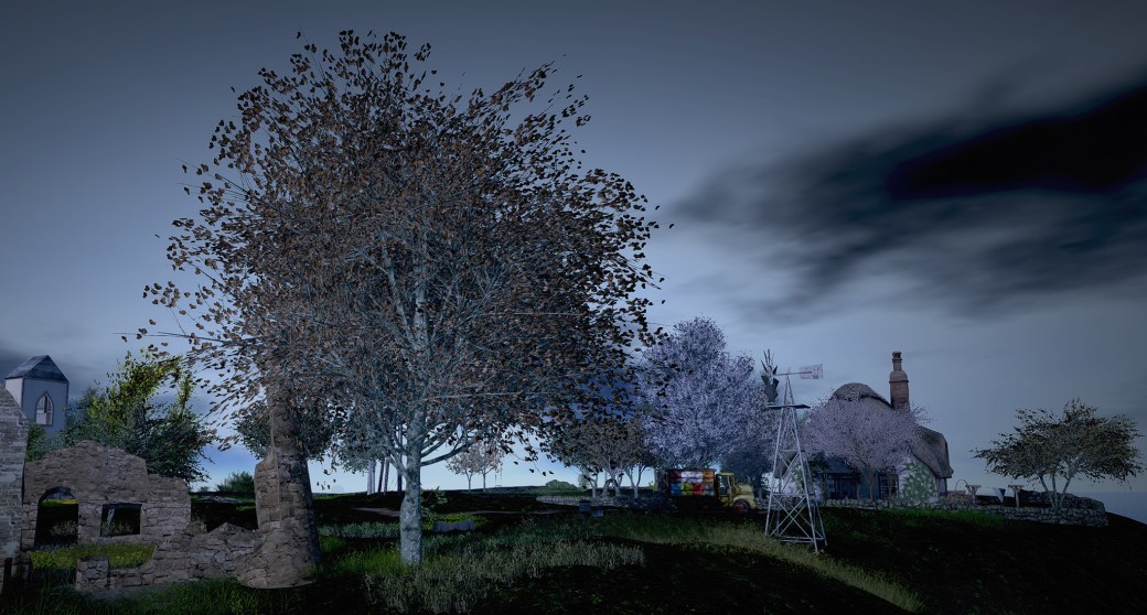 blog 020318 The Little Branch Giant Beech Sense Event