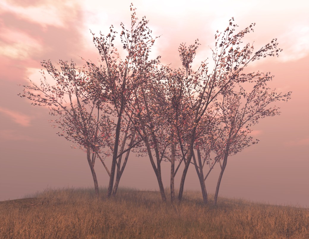 063018 blog Little Branch Spring Blossom